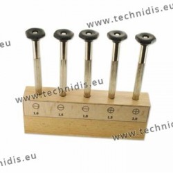 Set of screwdrivers with screw chuck and simple handle on wooden support