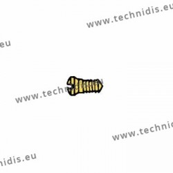 Screw for closing blocks and hinges 1.4 x 1.9 x 3.8 - gold