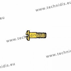 Screw for closing blocks and hinges 1.4 x 2.5 x 5.2 - gold