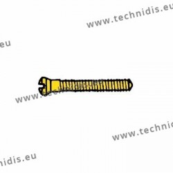 Screw in stainless steel 1.4 x 1.8 x 10.6 - gold