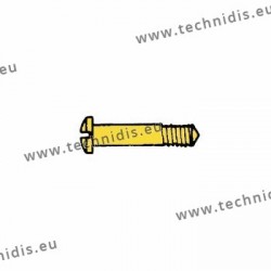 Vis en acier inoxydable 1.6 x 2.5 x 10 - doré