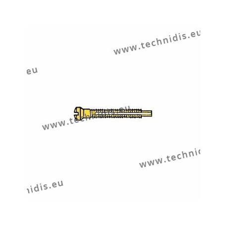 Screw with locking system by nylon thread 1.2 x 1.8 x 11 - gold