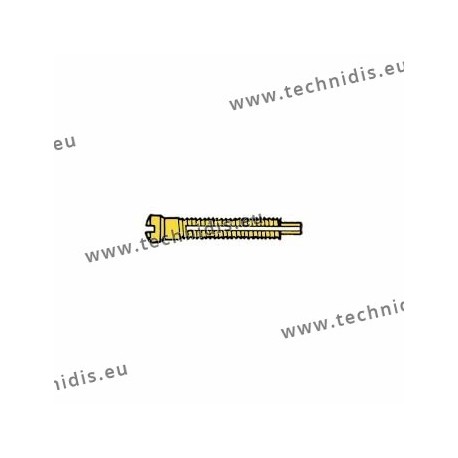 Screw with locking system by nylon thread 1.5 x 1.8 x 11 - gold